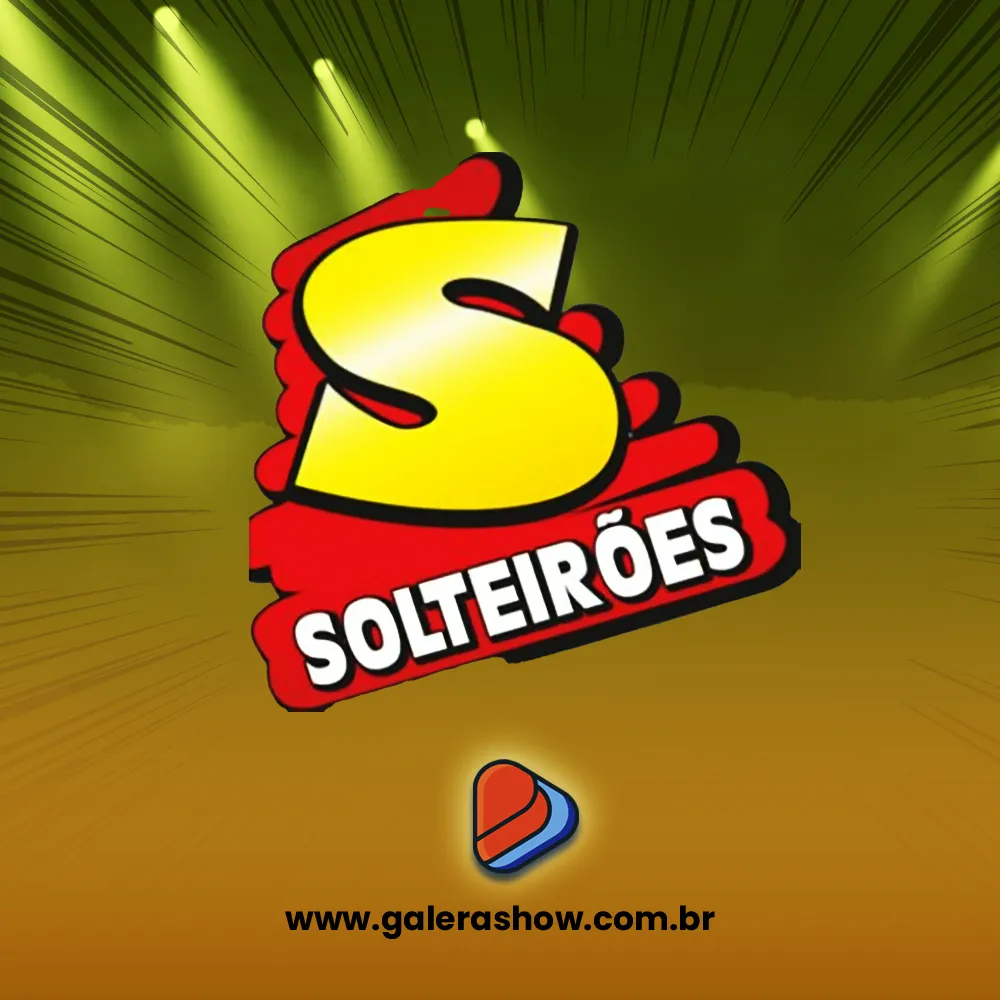  Solteirões do…